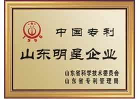 企業(yè)榮譽(yù)